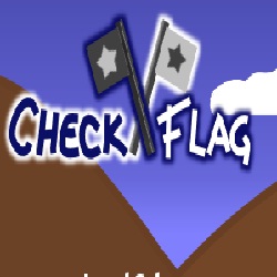 Игра Check Flag
