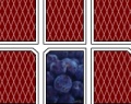 Игра Фруктово-ягодные карточки