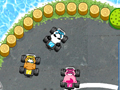 Игра Raccoon racing