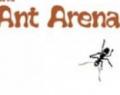 Игра Ants Arena