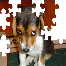 Игра Cute Dog Puzzle