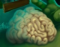 Игра Все что нужно это мозги: Новые уровни