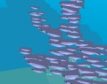 Игра В поисках Немо: Морские фигуры